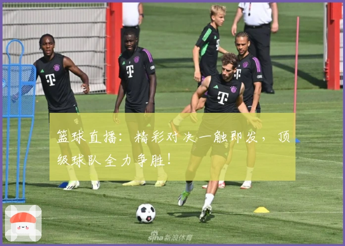 篮球直播：精彩对决一触即发，顶级球队全力争胜！